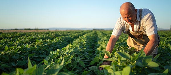 Agricultura