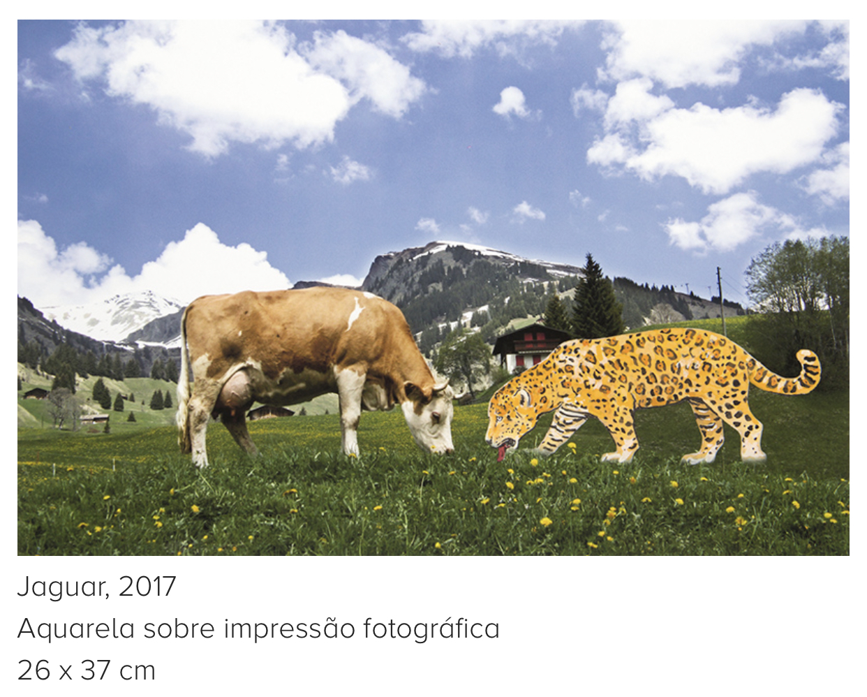 Aquarela Jaguar 2 - Eduardo Srur