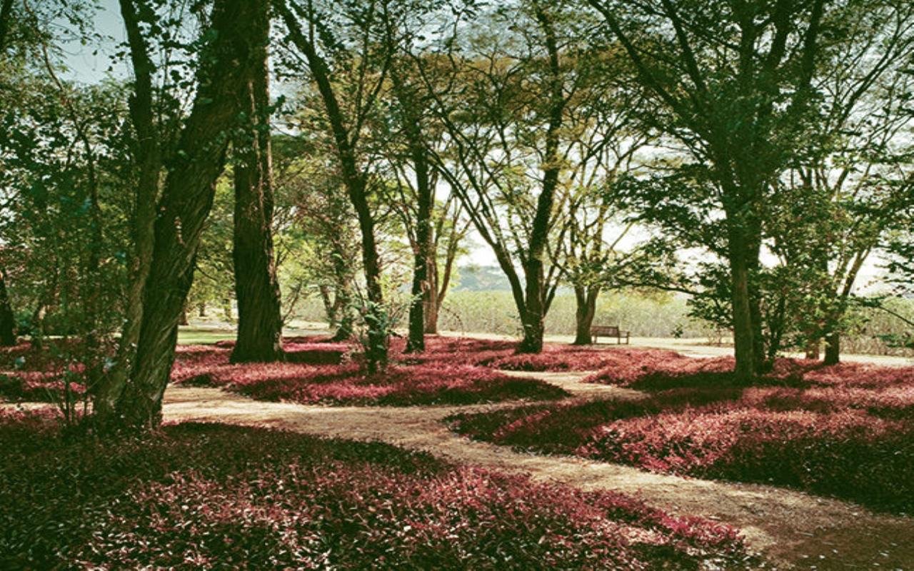 Terreno na Fazenda Boa Vista - Fasano - 100km de São Paulo